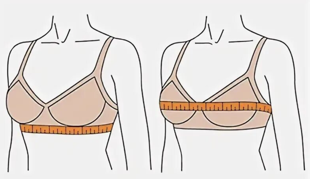 Как снимать мерки для определения размера бюстгальтера.