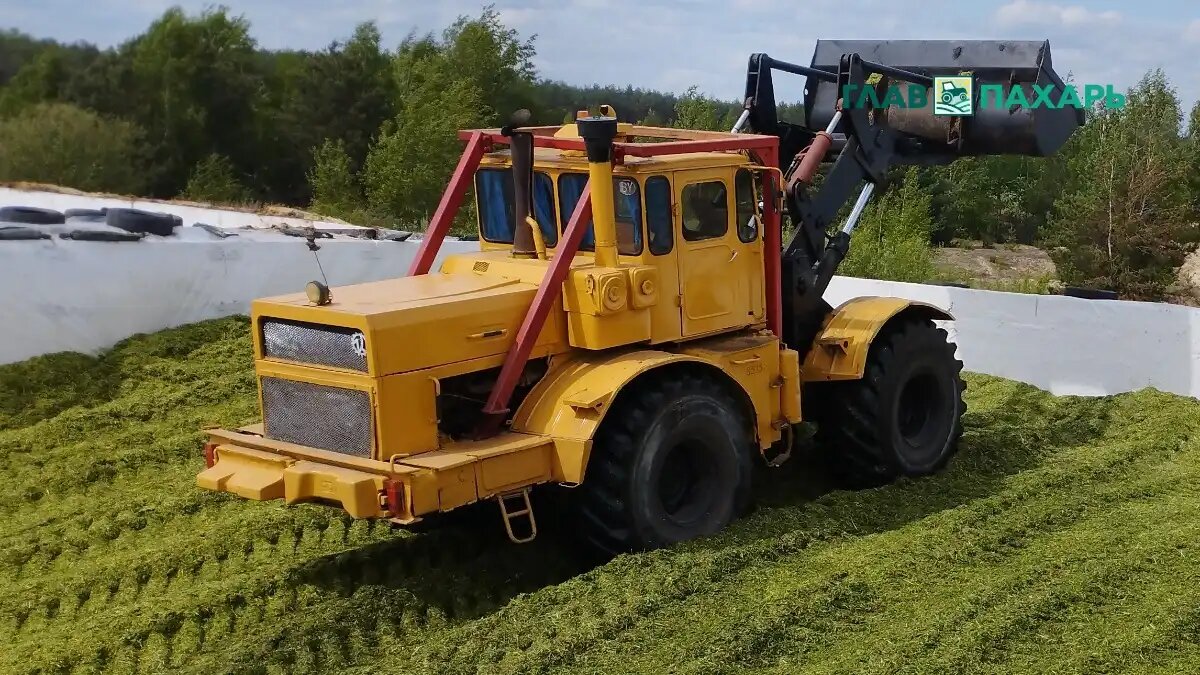 Фото: © Николай Петроченко / Glavpahar.ru
Необычный модификации культовых тракторов КИРОВЕЦ К-700