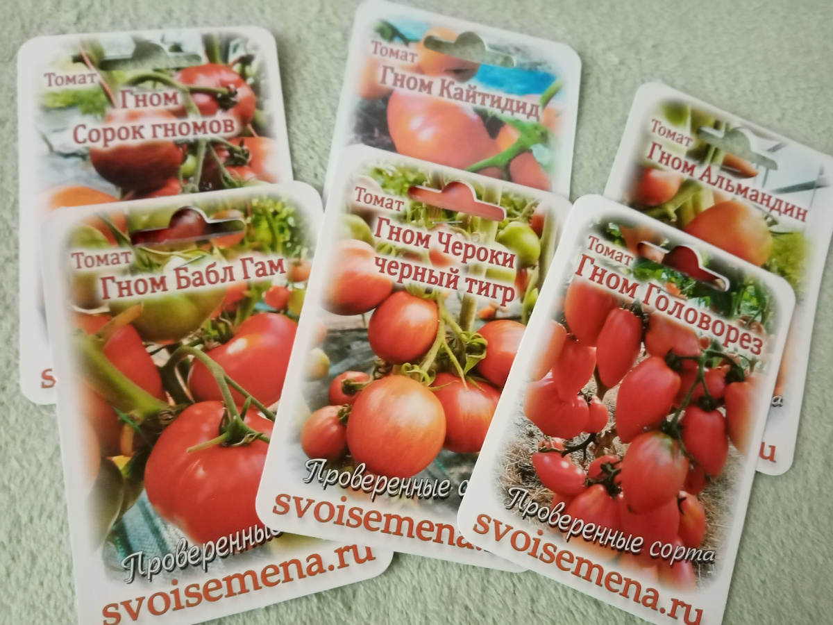 семена гномов томатов на этот сезон. Фото автора