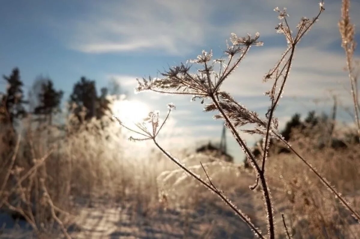    Теплую погоду прогнозируют в Свердловской области в Крещение
