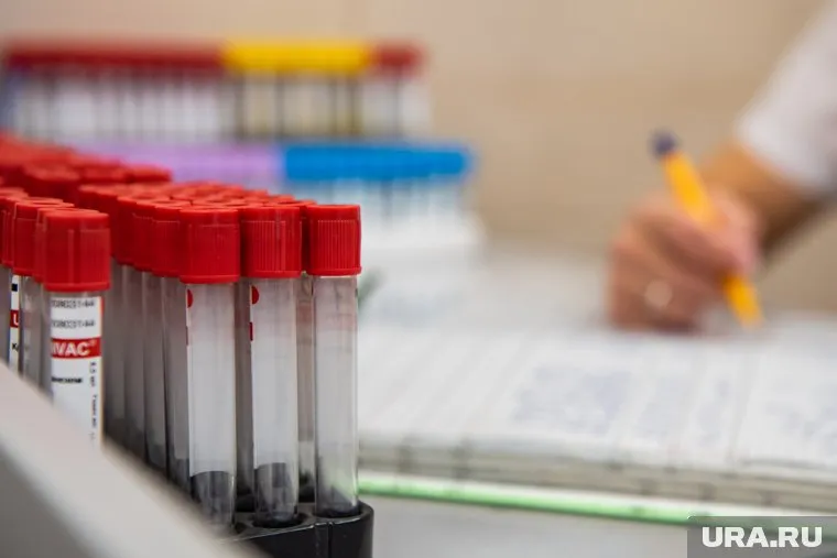 На Камчатке 36 пациентов онкодиспансера заразились острой формой гепатита В и С
Фото: Анна Майорова © URA.RU