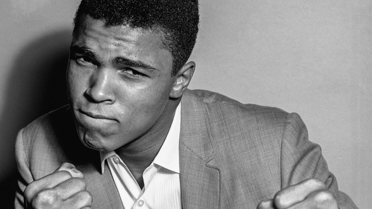 фото: открытый источник