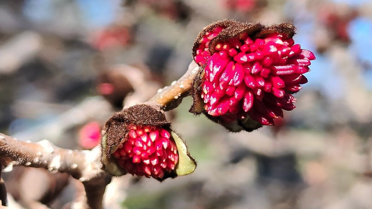    Фото: Галина Солтани