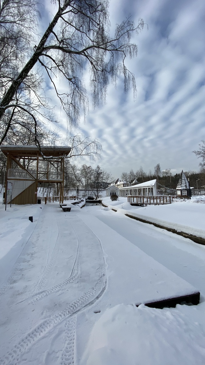 Городская ферма. Фото автора
