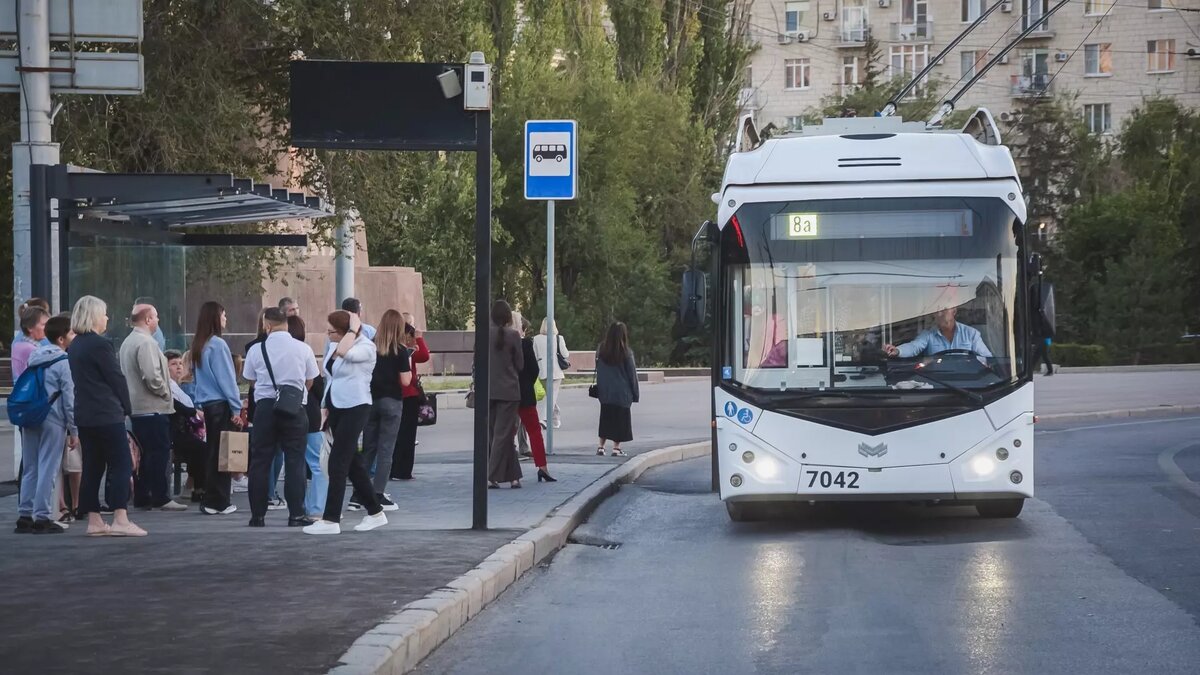     Источник: 1MI