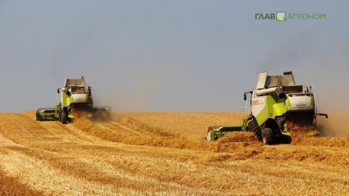 Фото:© Владимир Исаенко / Glavagronom.ru
В Госдуме подтвердили монополизацию зернового рынка