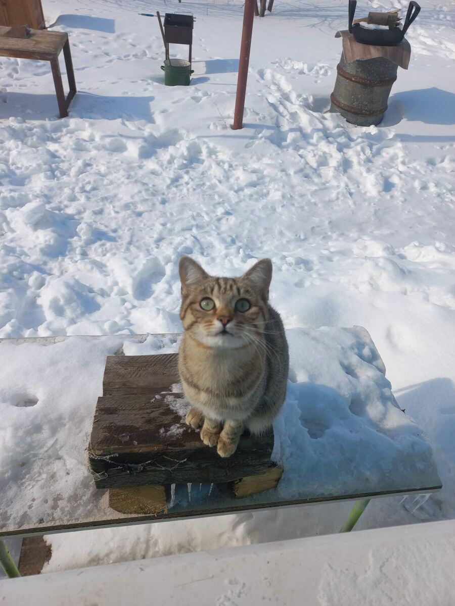 Фото автора