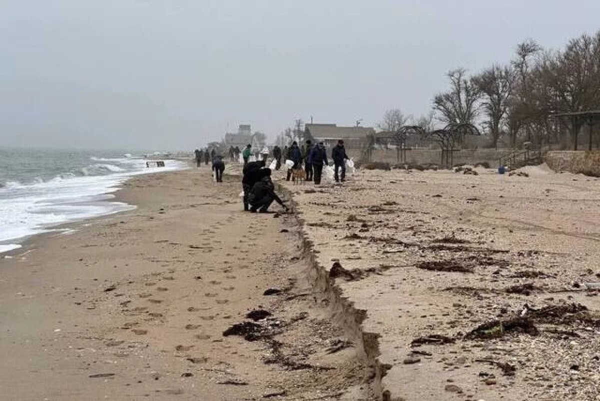    Ученый Данилов-Данильян предупредил о «языках мазута» в Турции и Грузии