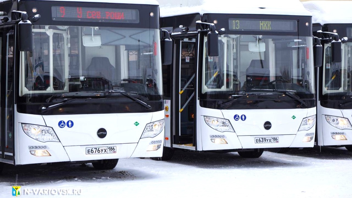    Детей участников СВО из Нижневартовска возят в автобусах бесплатно