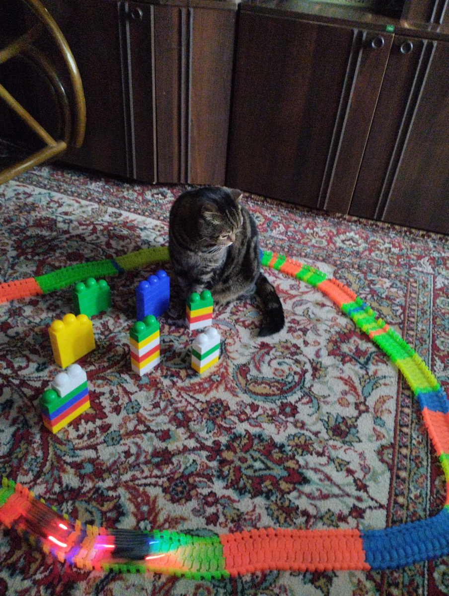 И вот так продолжается как минимум час.