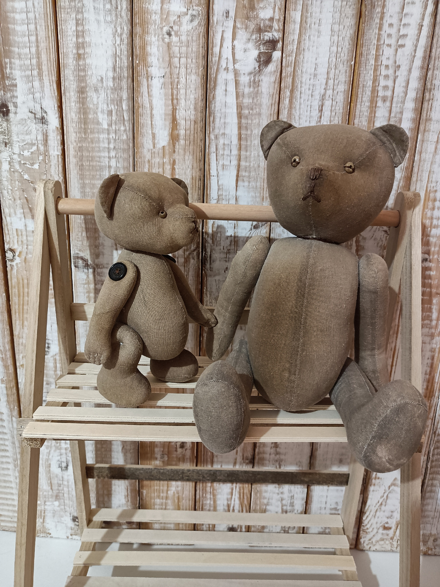 Мишки значительно постарели за прожитые годы.