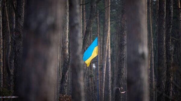    © Telegram Владимир Зеленский