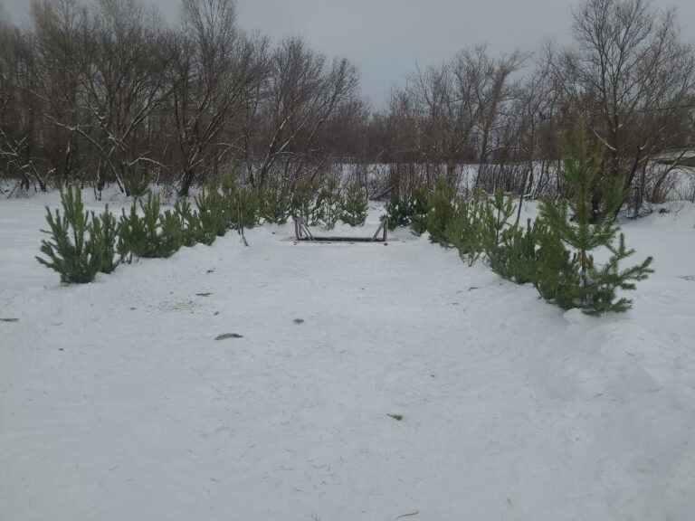    Покушать и размяться. Что нужно сделать перед тем, как окунуться в прорубь Кристина Просвиркина