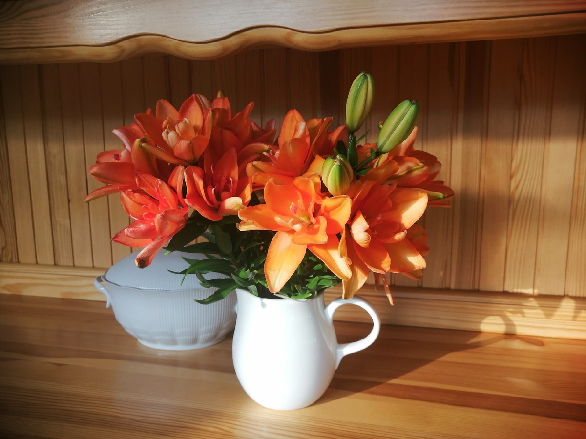 Если кусаются комары, ужин на веранде перестаёт быть томным