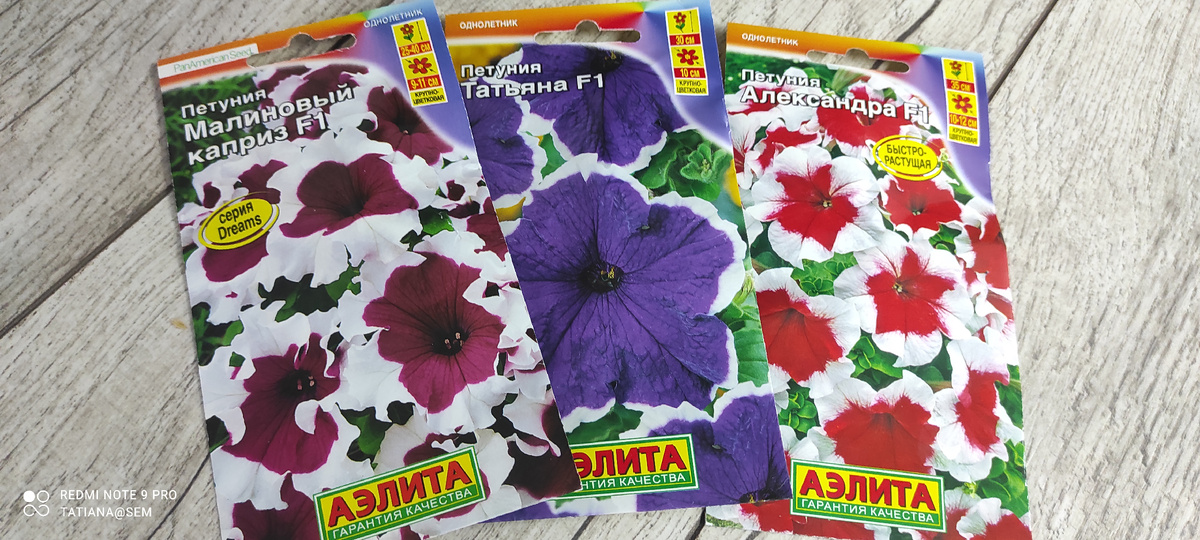 Заказывала петунии набором