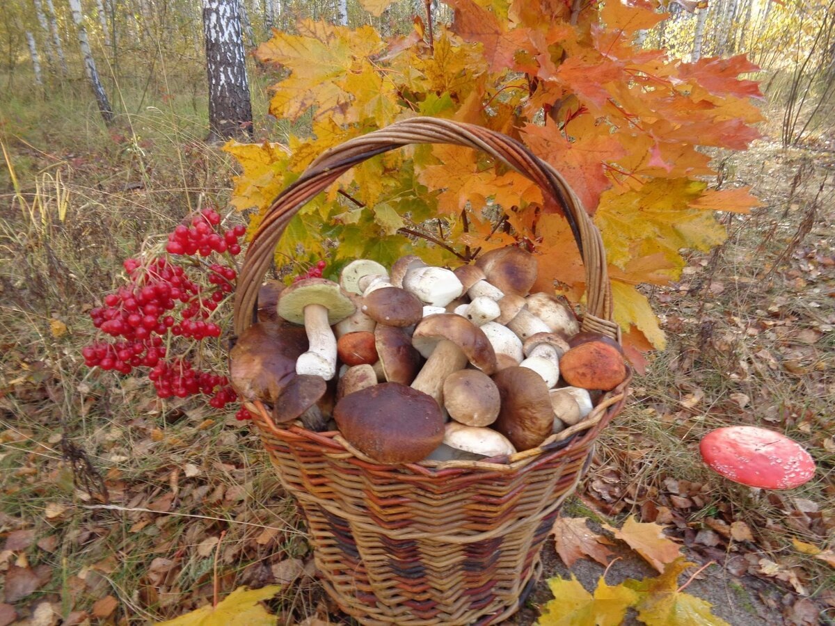 Автор фото Анна Л.