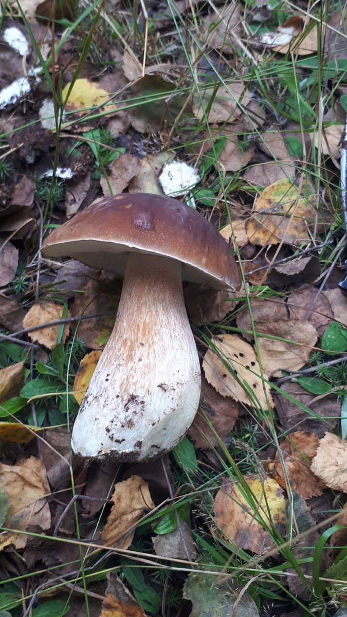 Автор фото Димон 80808