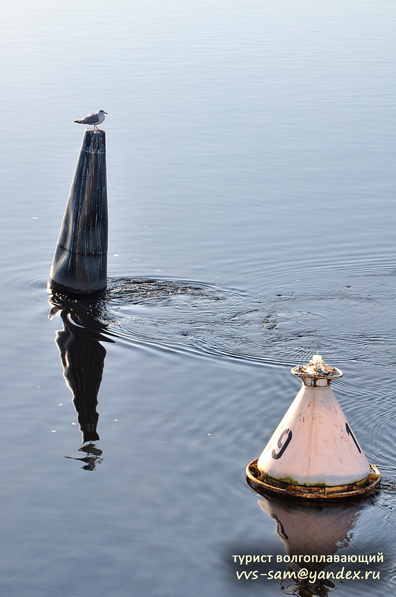 Фото 05.09.2024.