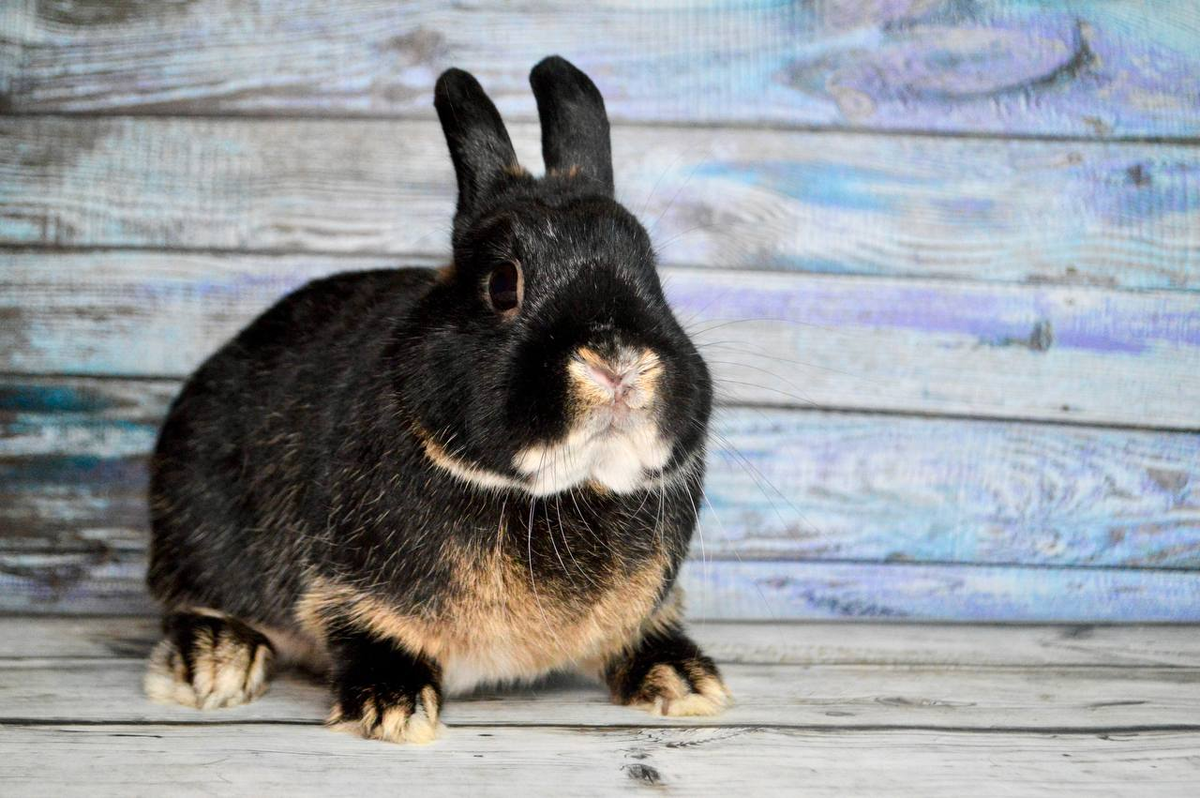 Бетмен - всегда на страже справедливости!