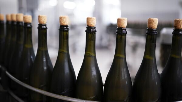    © Sputnik / Виталий Тимкив