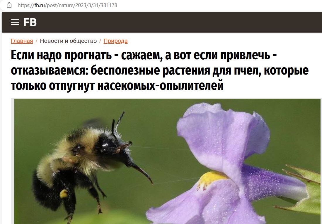 Скрин с https://fb.ru/post/nature/2023/3/31/381178
