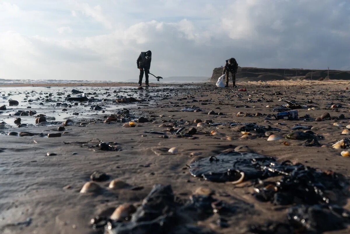 Источник https://rgo.ru/upload/content_block/images/bcb90d8d1ca407b426d3338221296507/6780d48e4729f3f019228f1fbf0a59bb1.jpg