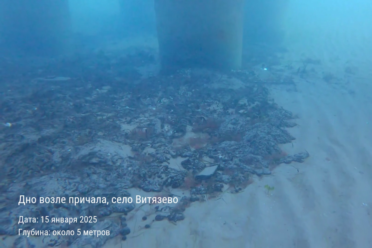 Источник https://0d314c86-f76b-45cc-874e-45816116a667.selcdn.net/4ad1ee25-3739-44f9-9883-72e1d7c5406d.png