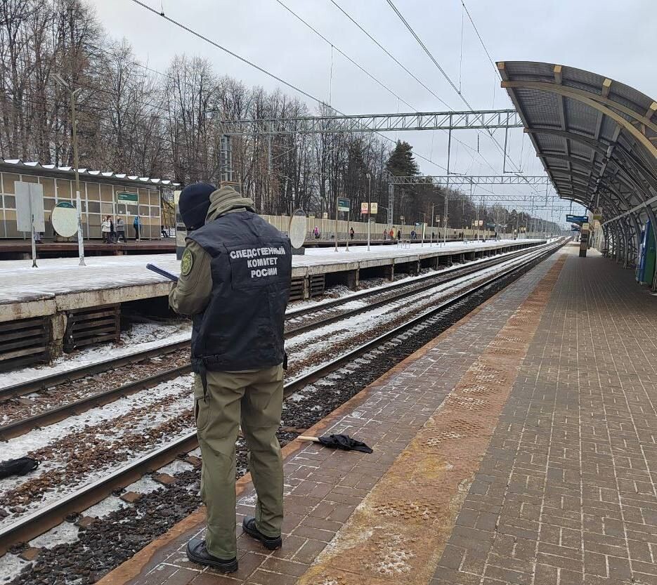     / Источник: © Западное межрегиональное следственное управление на транспорте Следственного комитета Российской Федерации