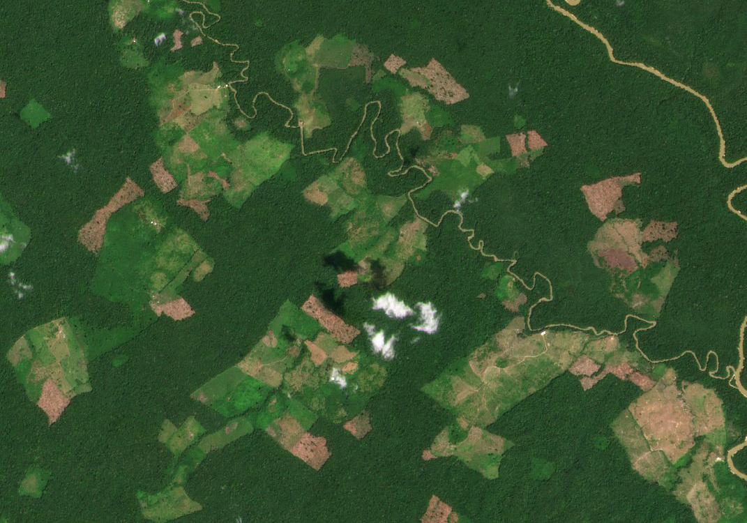 Национальная полиция Колумбии использует данные Planet, чтобы помочь искоренить незаконный посев сельскохозяйственных культур.