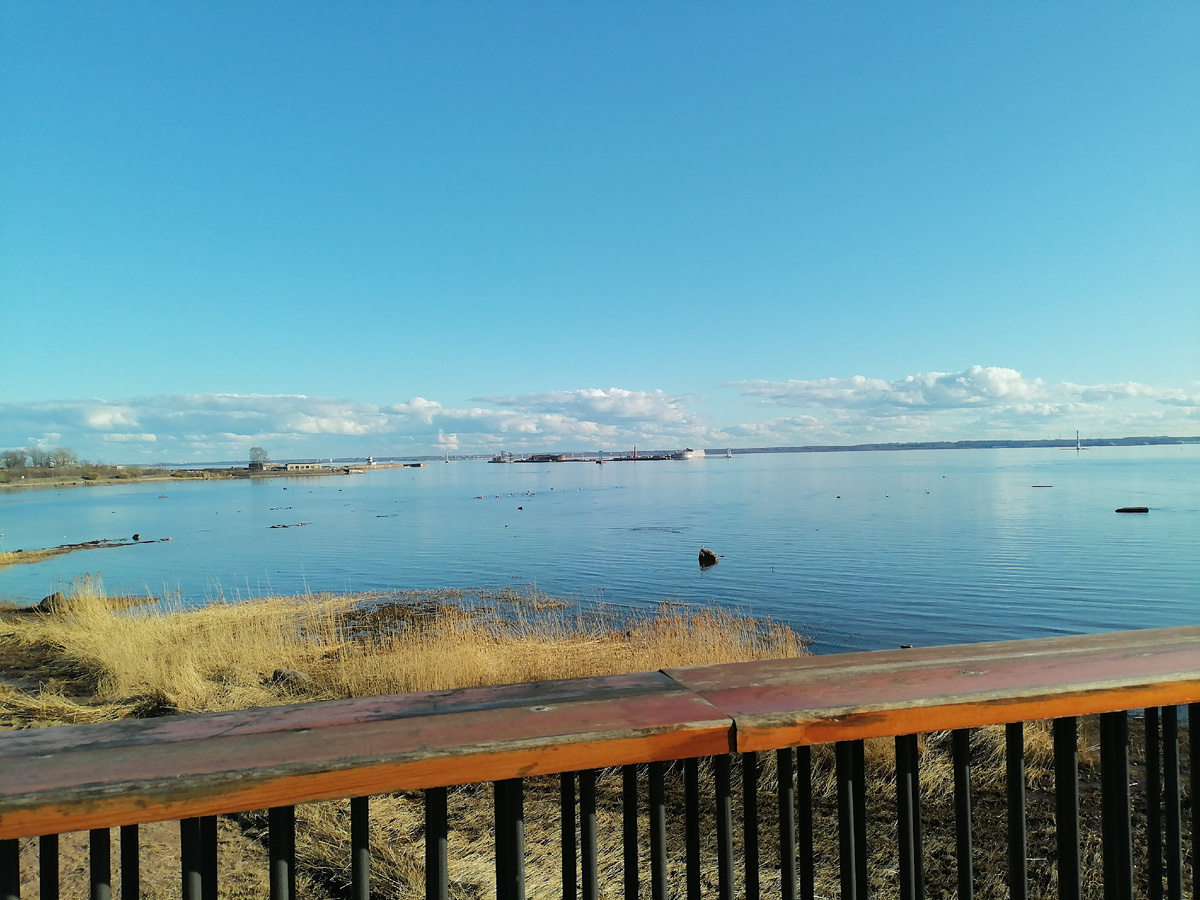 Фото автора