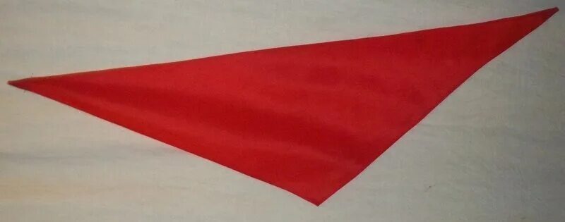 Фото из общего доступа.