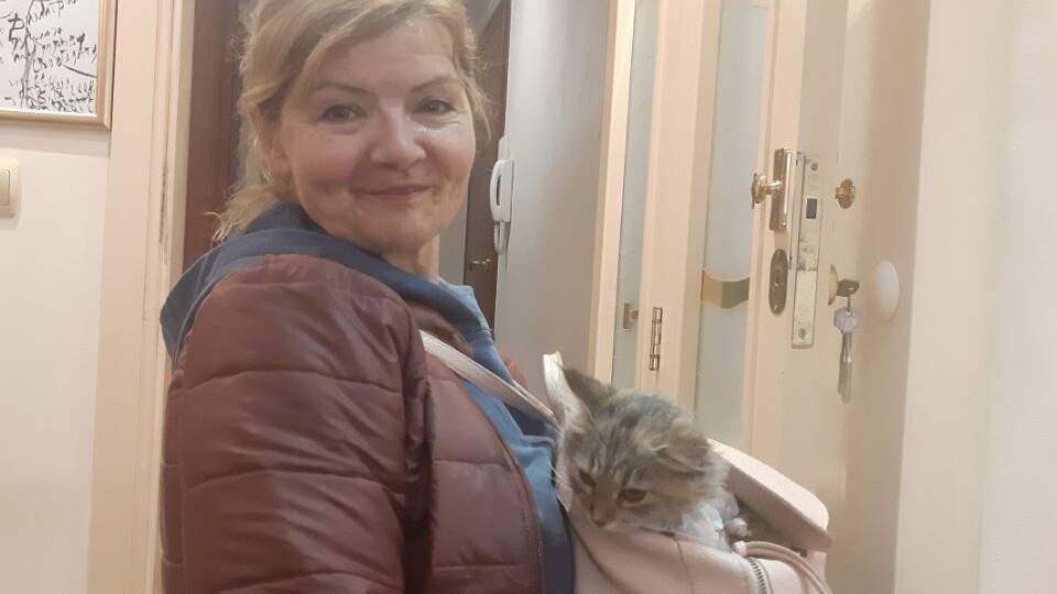 Чудесное спасение нашей кошечки Варварушки в Новом году