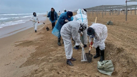    На 13 участках пляжей Анапы и под Темрюком обнаружили новые выбросы мазута Алина Городниченко