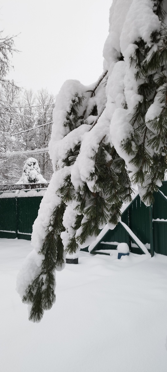 Прямо снежная сказка. Листайте➡