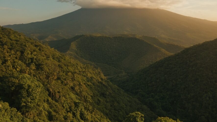    Фото: создано ИИ