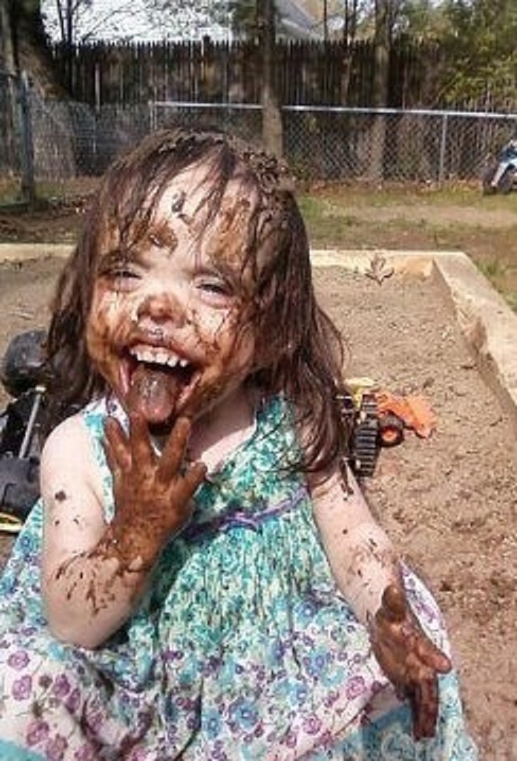 Из открытого доступа в сети