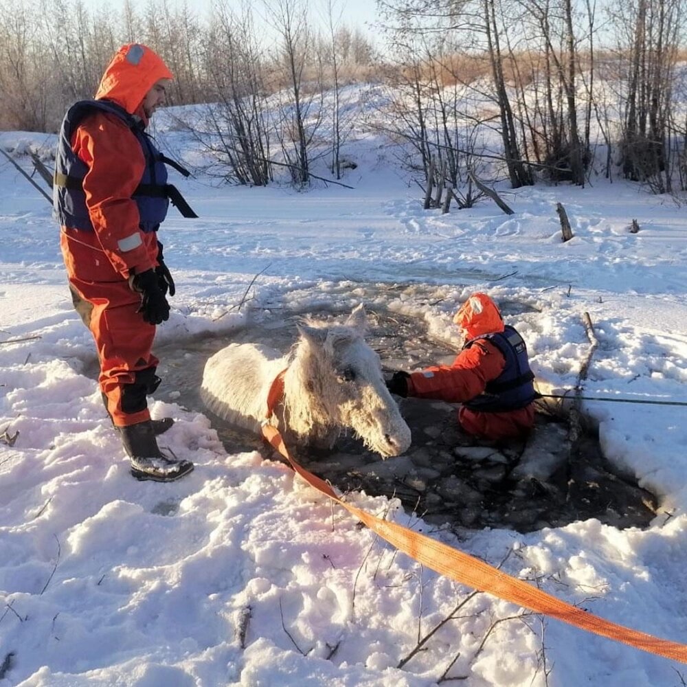    Фото: пресс-служба ПСС Челябинской области