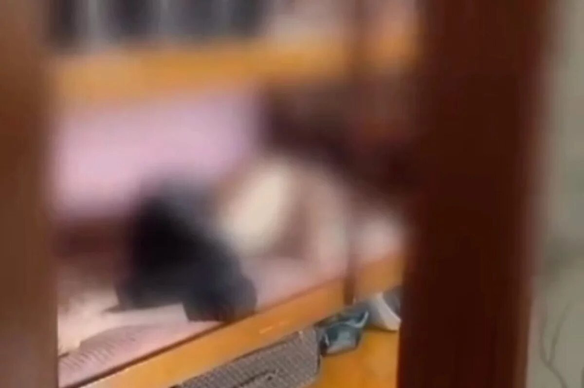    СКР: умершего пациента рехаба в Дагестане перед смертью связали и избили