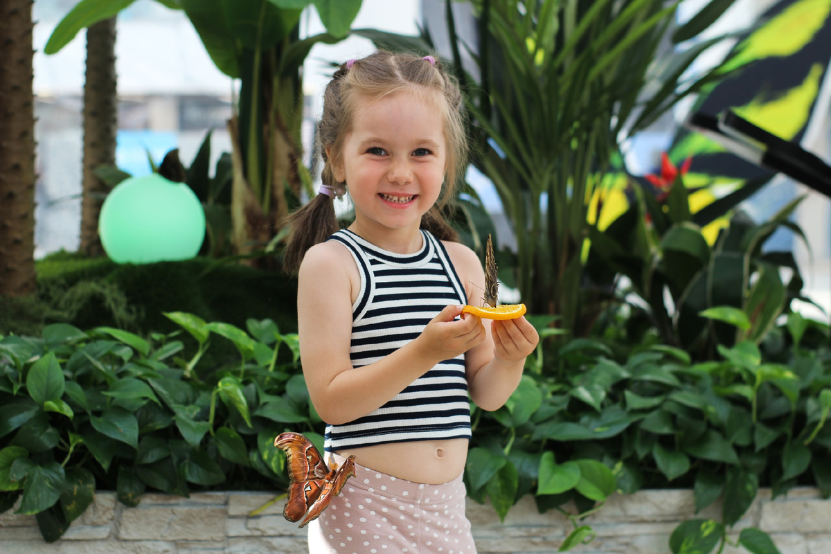 Юные посетители Парка бабочек Paradise