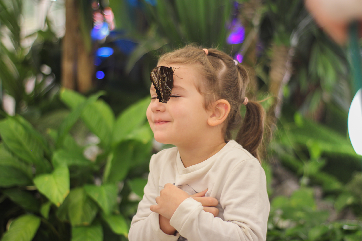 Юные посетители Парка бабочек Paradise