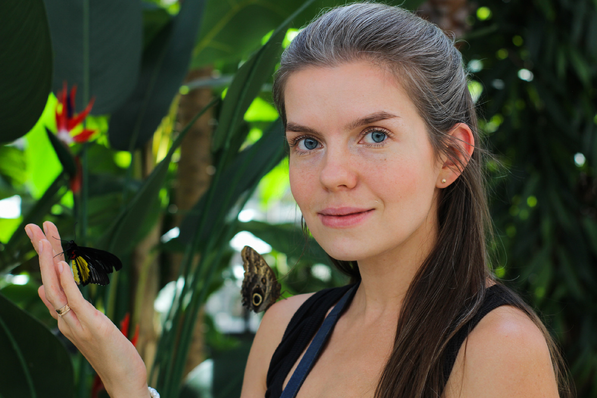 Посетитель Парка бабочек Paradise