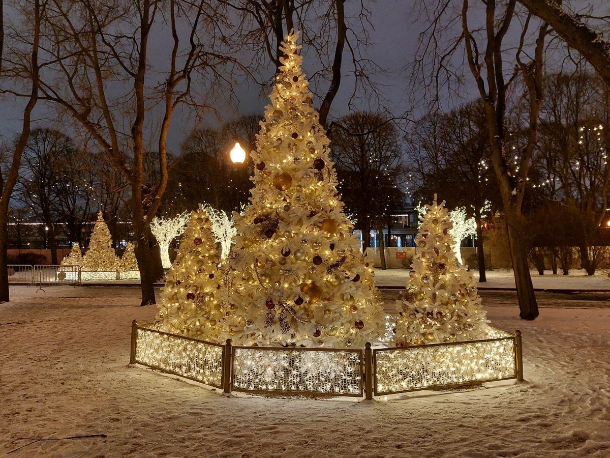 Милые ёлочки в парке Горького. Москва