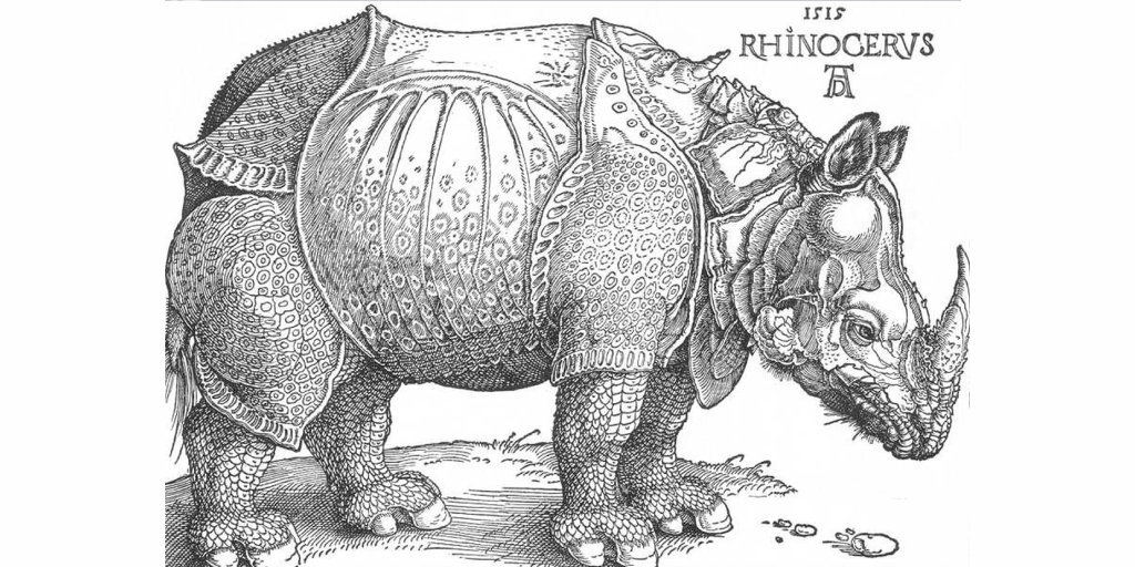 Из Индии королю Мануэлу I привезли белого носорога в подарок. Фото: Getty Images