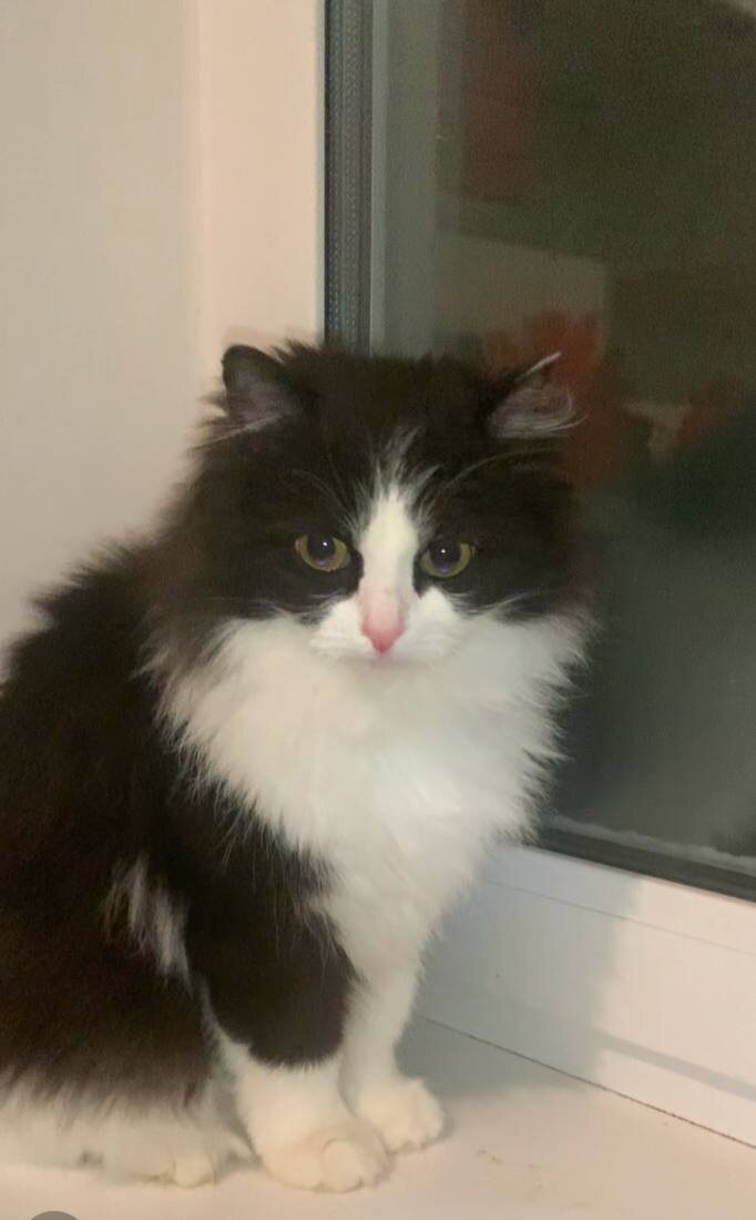 На новом месте