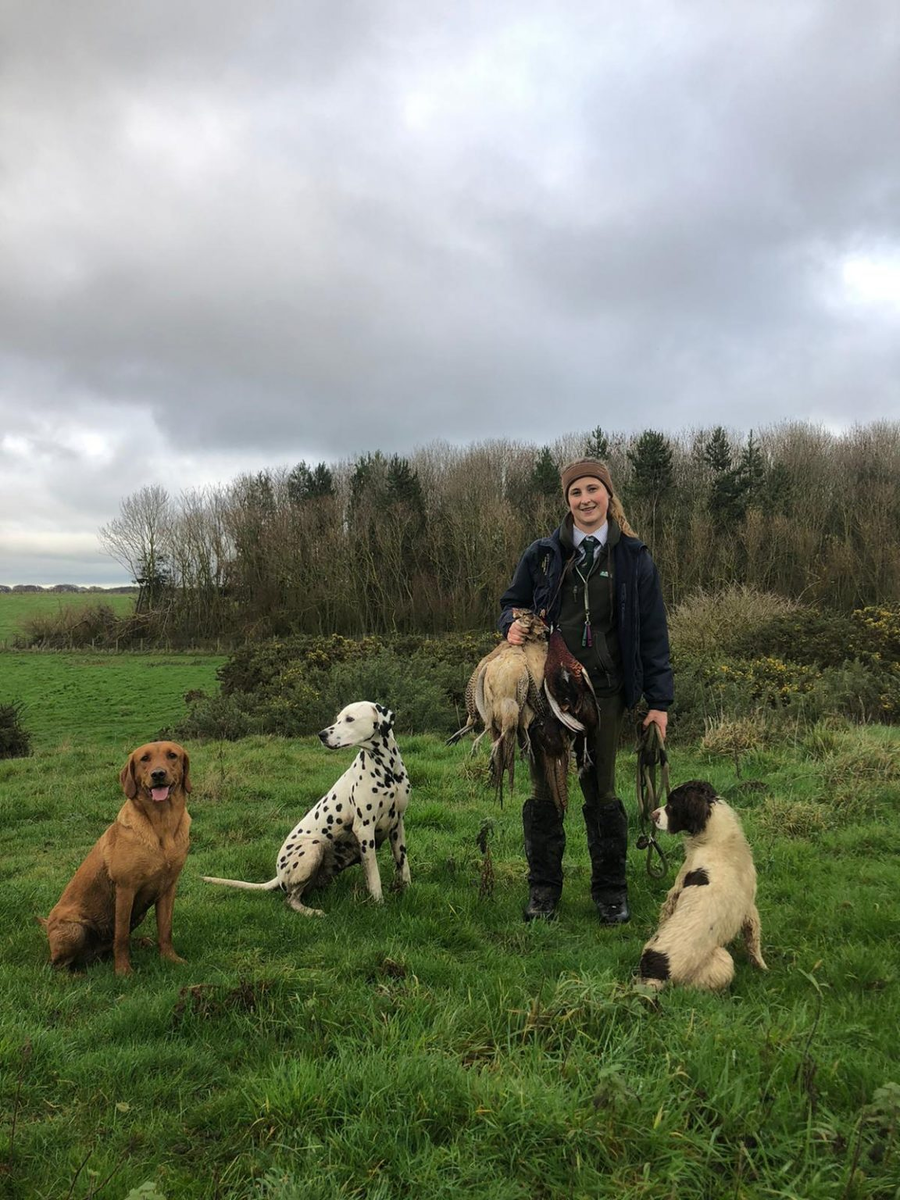 Далматин на охоте в Англии, 2021 год.