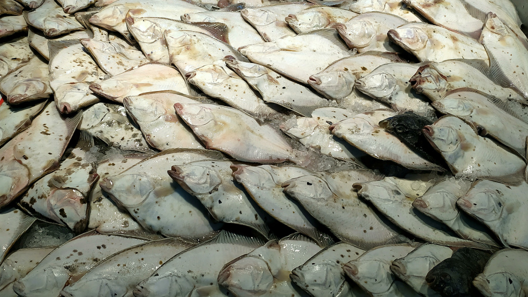    Victor Lisitsyn/Global Look Press