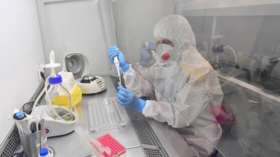    Первый случай заражения вирусом оспы обезьян выявлен в Азербайджане Роман Захаров