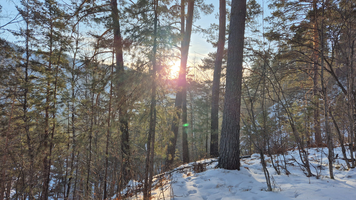 Картинки, напоминающие март... Листайте карусель ->