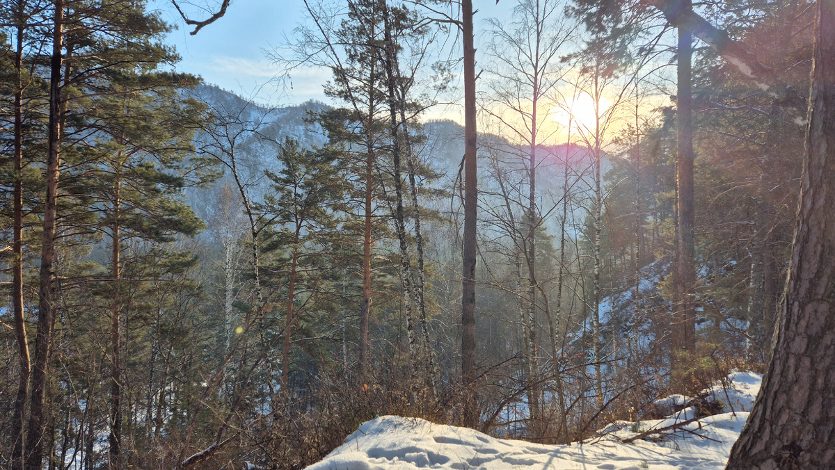 Где-то там внизу - река Катунь. В этом месте она служит границей между Республикой Алтай и Алтайским краем. 