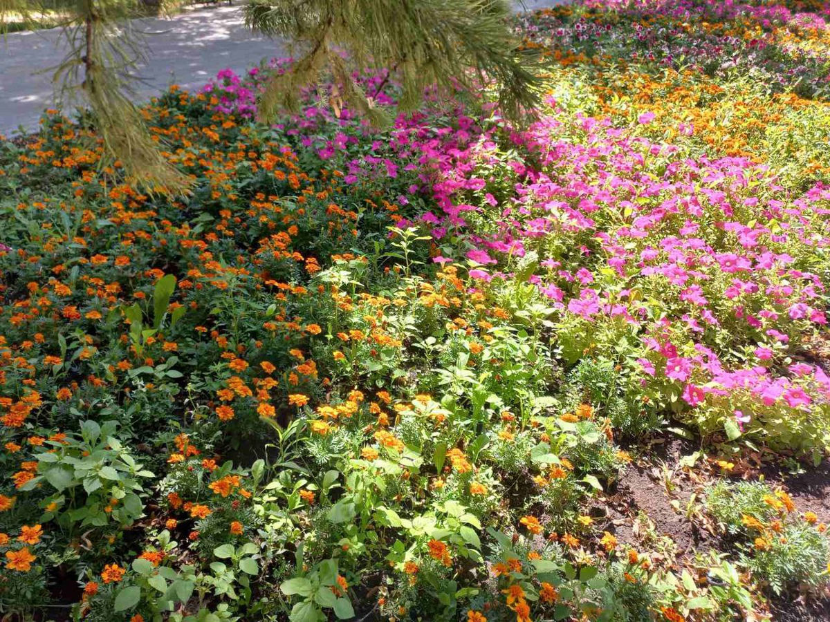 Фото автора.